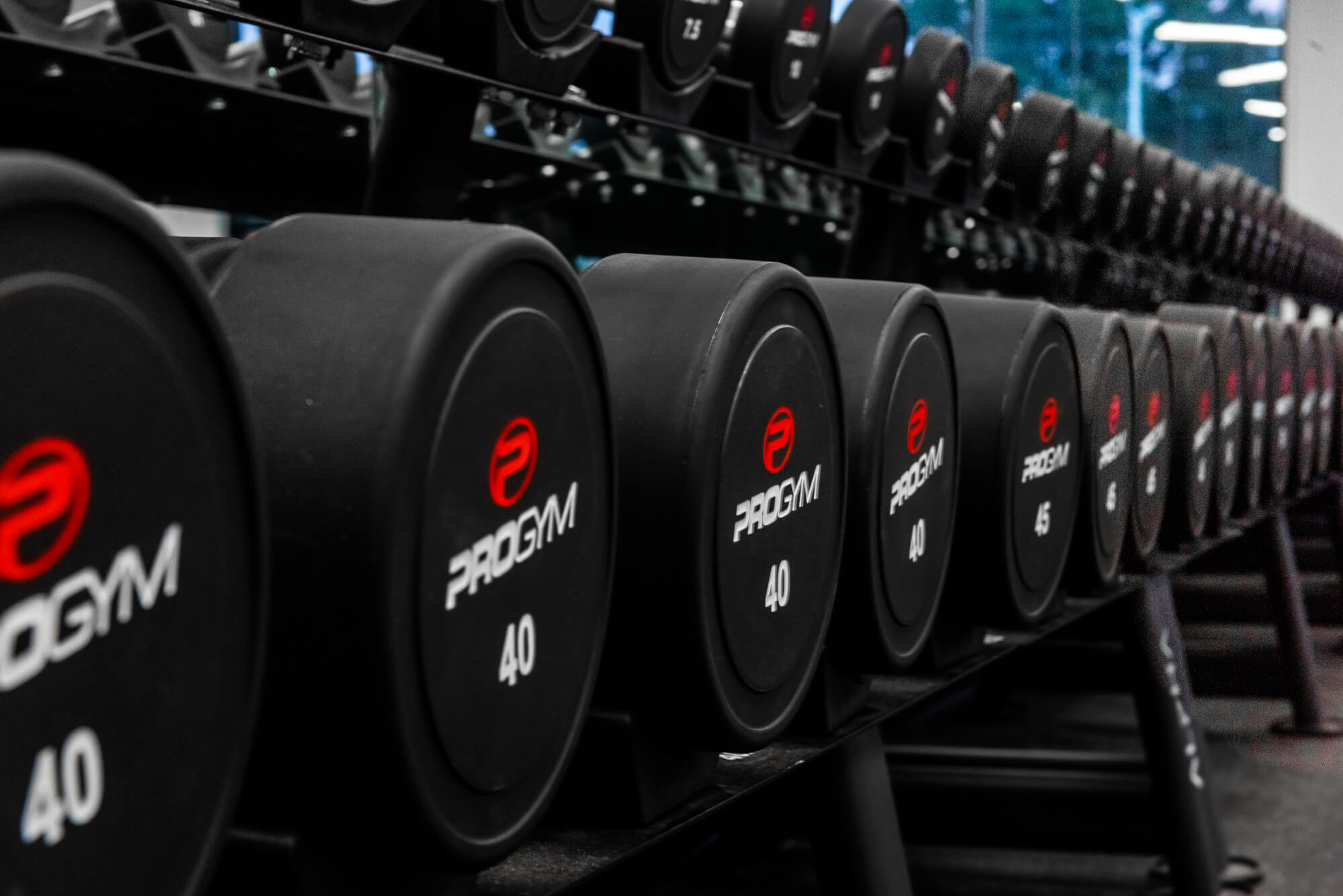 Rangée d’haltères ProGym sur support dans la salle de sport